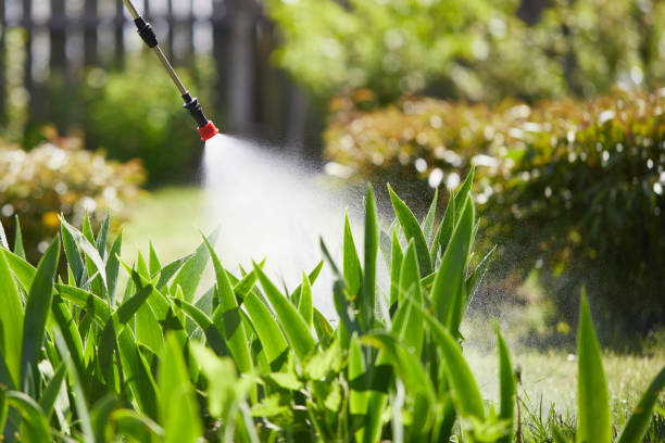 24/7 Emergency Ant Control experts in Tenino, WA