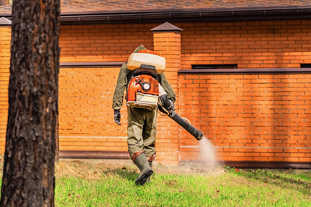 Trusted Emergency Pest Control service in Tenino, WA - Nex Pest Control